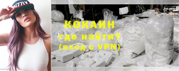 соль ск Арсеньев